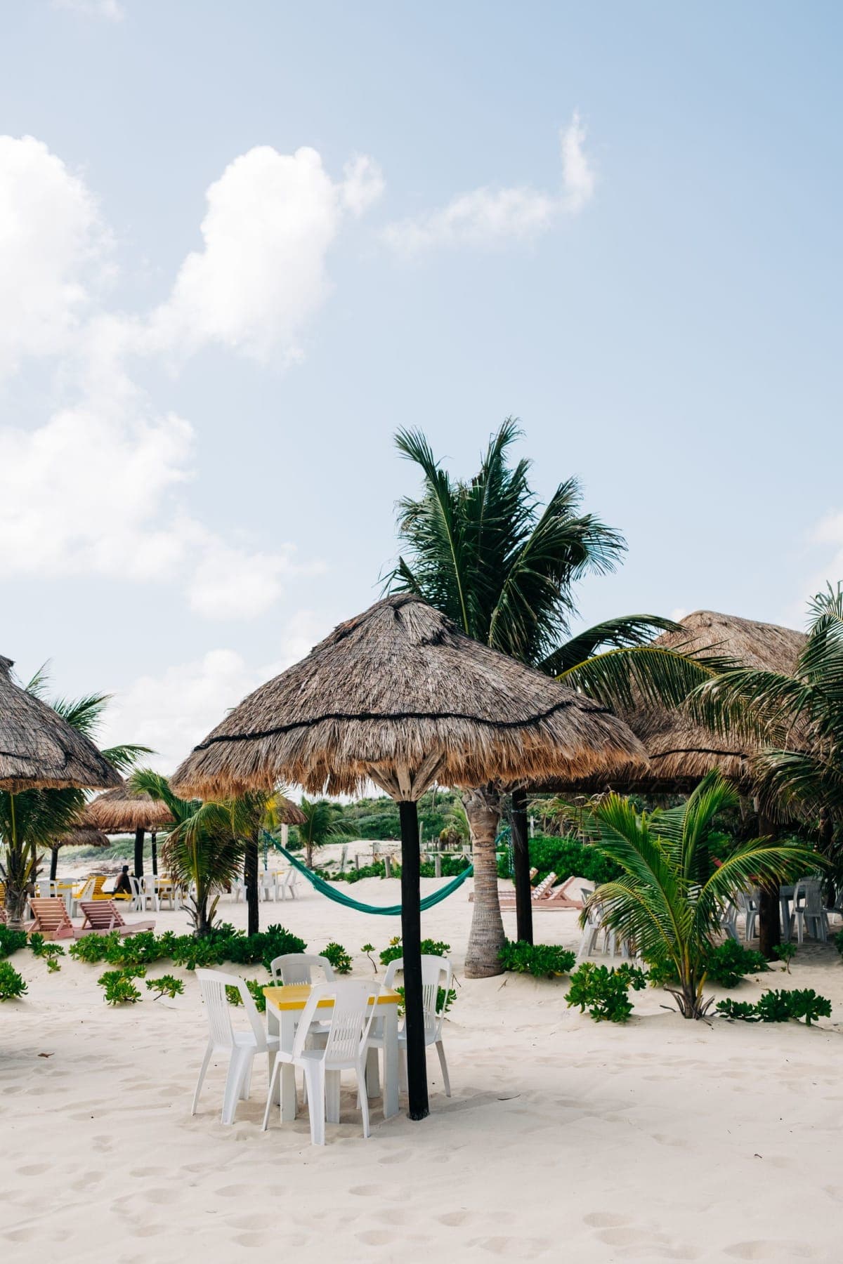 A tropical beach in Cozumel, Mexico with palapa umbrellas and palm trees