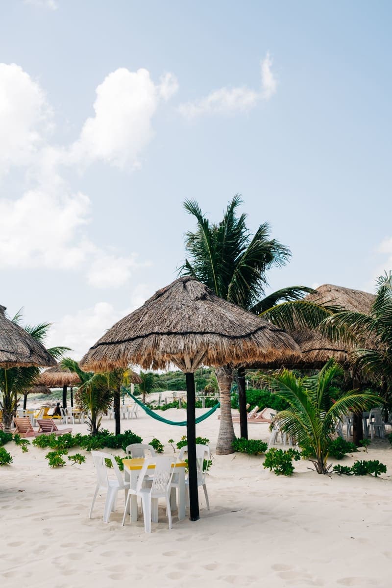 A tropical beach in Cozumel, Mexico with palapa umbrellas and palm trees